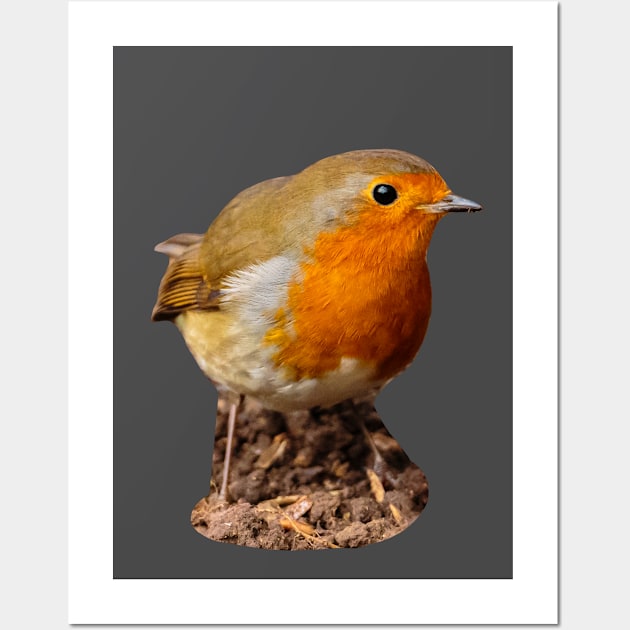 Robin in the garden Wall Art by dalyndigaital2@gmail.com